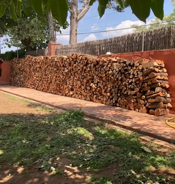 Entrega de Llenya