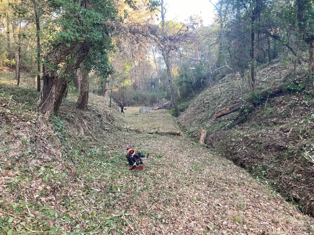 Neteja Forestal